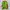 Mackar Japan Multicolor Large Backpack photo 4