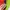 Mackar Japan Multicolor Large Backpack photo 6