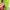 Mackar Japan Multicolor Large Backpack photo 5