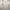 Balenciaga Streetwear Luxury T-shirt Pria white photo 2