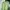 COLORBOX Casual Cardigan Wanita Green