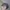 Snapback Vans Camo Army Millitary photo 3