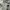 Adidas Streetwear T-shirt Pria gray photo 1