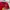 Nike Sportswear T-shirt Pria red photo 3