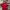 Nike Sportswear T-shirt Pria Red