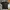 VANS Vintage Streetwear T-shirt Pria black yellow photo 4