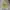 ShortPants Surfing Nike x Bronk Word Cup Africa Original photo 7