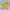 Casual Sweater Wanita yellow photo 2
