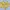 Casual Sweater Wanita yellow photo 1