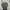 Nike Streetwear Sportswear T-shirt Pria gray photo 4