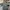 Nike Streetwear Sportswear T-shirt Pria gray photo 2