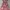 Casual Batik Summer dress Wanita multicolor pink photo 1