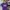 Mahagrid Streetwear T-shirt Pria Purple
