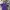 Mahagrid Streetwear T-shirt Pria purple photo 2