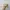 Carhartt Vintage Streetwear Hat Pria tan photo 2