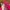 Vintage Hat Pria pink photo 3