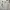 Kappa Streetwear Sportswear T-shirt Pria white photo 5