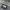 Nike Casual Sweatshirt Pria gray photo 4