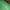 Guess Streetwear Y2K Sweatshirt Pria green photo 6