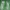 Guess Streetwear Y2K Sweatshirt Pria green photo 4