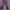 Casual Wanita purple photo 1