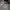 Nike Casual Sweatshirt Pria gray photo 2