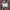 By n'importe ou n''importe qui Plaid Jacket (packable) photo 10