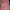 Pakaian Adat Pakaian Nasional Casual Dress Wanita Pink