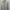ZARA Casual T-shirt Pria white photo 1