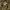 Adidas Y2K Sportswear Tracksuit Pria green photo 4