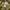Adidas Y2K Sportswear Tracksuit Pria green photo 5