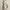 Hoodie Carhartt Spellout K288 W03 photo 3