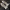 Coquette Heels Wanita white photo 1