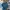 Arnold Palmer Vintage Casual Polo shirt Pria navy photo 1