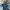 Arnold Palmer Vintage Casual Polo shirt Pria navy photo 2