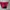 Nike Vintage Sportswear Short Pria red black photo 3
