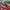Reebok SALE Resmi PT MAP (Geser Foto) photo 6
