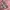 sweater pink photo 2