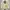 Groove Rhyme Chore Canvas Outter Jacket Size M