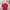 Dior Streetwear Luxury Polo shirt Pria red photo 4