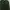 ZARA Casual T-shirt Pria green photo 1