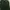 ZARA Casual T-shirt Pria Green