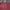 Michael Kors Luxury Tote bag Wanita pink photo 1