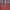 Michael Kors Luxury Tote bag Wanita pink photo 2