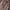 Michael Kors Luxury Tote bag Wanita pink photo 6
