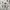 Vintage Streetwear Polo shirt Pria white photo 5