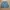 Sportswear Casual Varsity jacket Pria cream blue photo 4