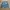 Sportswear Casual Varsity jacket Pria cream blue photo 1