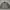 Casual Harrington jacket Pria gray photo 1
