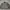 Casual Harrington Jacket Pria Gray